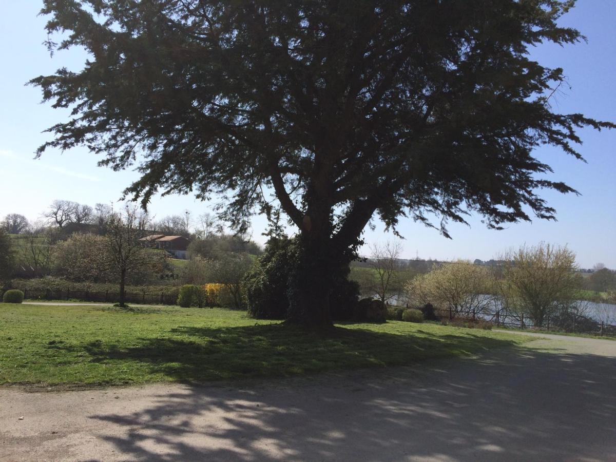 Le Petit Monty Gite Cote Etang Saint-Malo-du-Bois Екстериор снимка